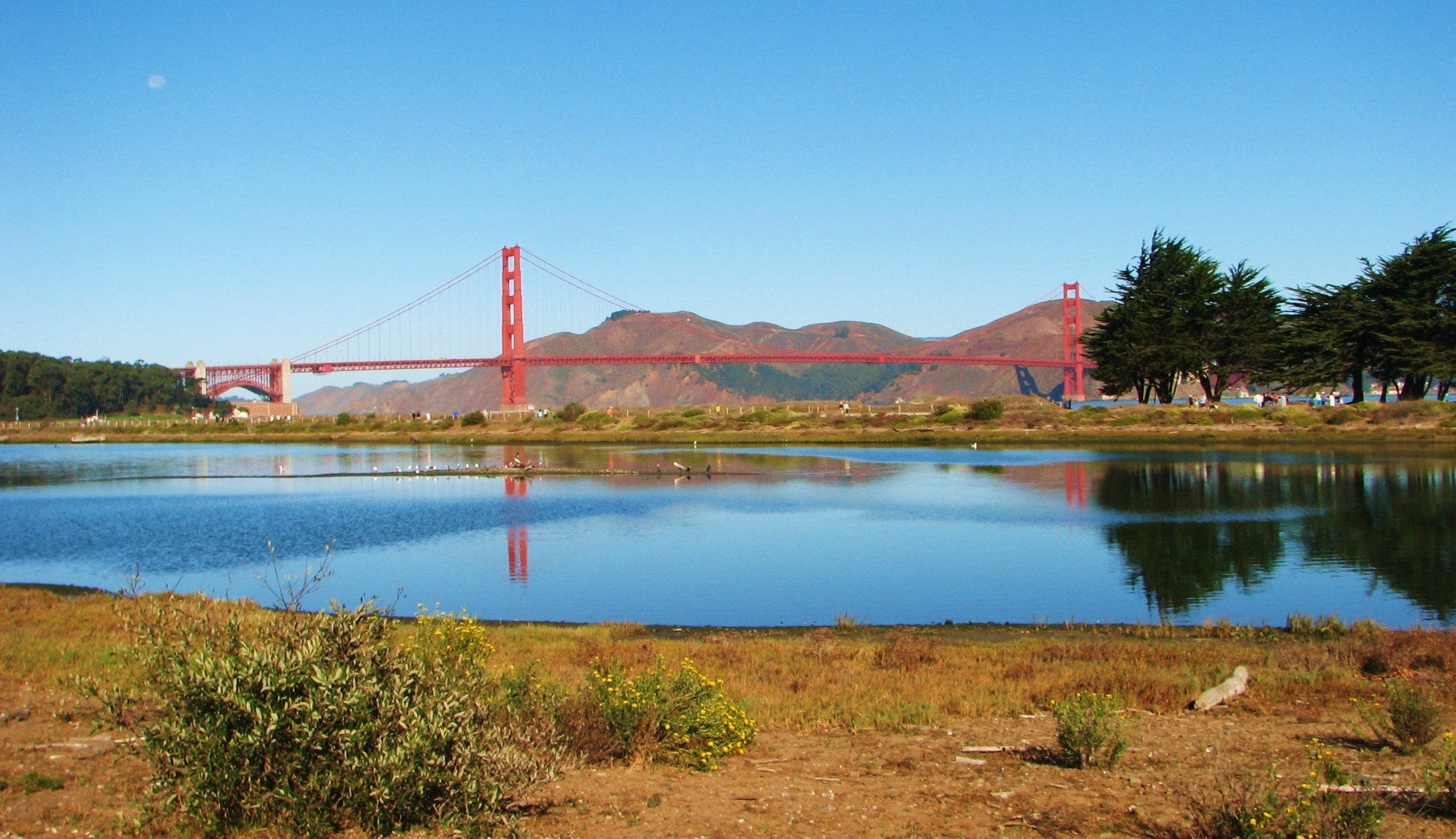 Golden Gate Bridge over the Crissy Field marsh